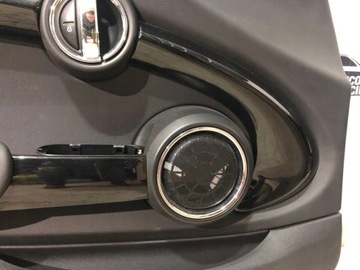 СТОРОНЫ ДВЕРИ ЛЕВАЯ ПРАВАЯ ПЕРЕДНЯЯ MINI F56 F57 HARMAN