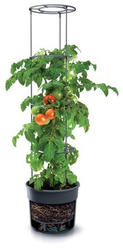 Горшок для выращивания томатов Tomato Grower 12л Горшок для вьющихся овощей