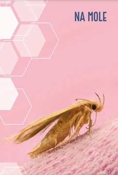 BROS FOOD MOTH TRAP MAX ДЛЯ МУЖЧИН И ЖЕНЩИН