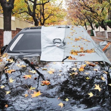 КРЫШКА ВЕТРОВОГО СТЕКЛА АВТОМОБИЛЯ, КОВРИКИ АВТОМОБИЛЬНЫЕ ОКОННЫЕ, ЗИМНИЕ, ПРОТИВОМОРОДА