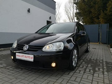 Volkswagen Golf V Hatchback 1.6 i 102KM 2008 Volkswagen Golf 1.6MPI 102KM Klimatronic Tempomat
