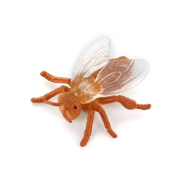 12 разных насекомых летающих червей Животное