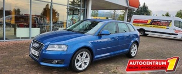 Audi A3 8P Hatchback 3d 1.4 TFSI 125KM 2009 Audi A3 Fotele S-Line Alcantara Navigacja, zdjęcie 10