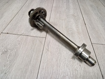 TRIUMPH SPEED TRIPLE 1050 WALEK BALANSER BALANSUJACY ST TIGER BALANS