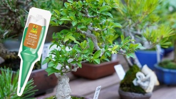 BONSAI NUTRIENT, МНОГОИНГРЕДИЕНТНОЕ УДОБРЕНИЕ, ЖИДКИЙ АППЛИКАТОР COMPO 30 мл