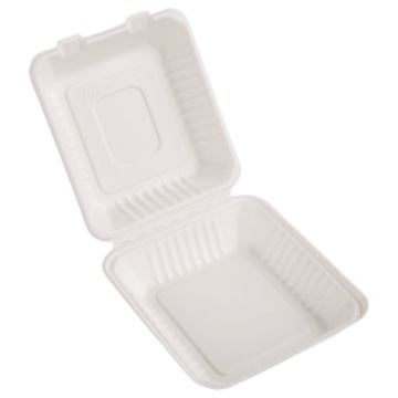 Menu box niedzielony 235x230 pulpa trzcinowa 50szt