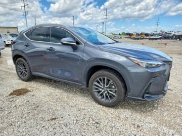 Lexus NX II 2025 Lexus NX 250 Premium 2025 2.5 Benzyna 203KM, zdjęcie 4