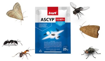 ŚRODEK NA MESZKI MRÓWKI MOLE PROSZEK ASCYP 25G