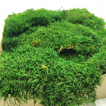 500 г мохового наполнителя FLAT для мохового мха