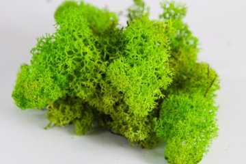 CHROBOTEK MOSS 5 кг светло-зеленый декоративный