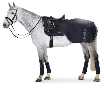 Półderka Eskadron Softshell Reflexx navy r.M