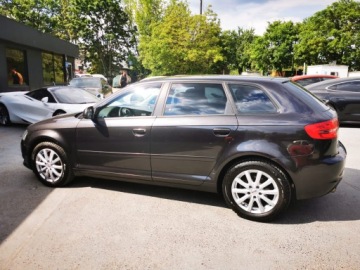 Audi A3 8P Hatchback 3d 2.0 TDI CR 170KM 2010 AUDI A3 Quattro 4x4, Manual, 2x Klucz, Nawigacja, Kamera cofania 8P, zdjęcie 3