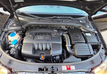 Audi A3 8P Hatchback 3d 1.6 102KM 2008 Audi a3 1,6 MPI 102 km 1.6 Benzyna 102KM, zdjęcie 12