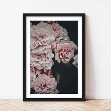 Постеры в рамке современные картины Цветы Париж Розы