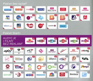 Модуль CI CANAL+ Карта Cayman CAM Дополнительный пакет Canal+ 1 месяц CAID 1884