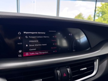 Alfa Romeo Stelvio SUV Facelifting 2.0 Turbo 280KM 2020 Alfa Romeo Stelvio Veloce Q4 / 1 właściciel / Salo, zdjęcie 30