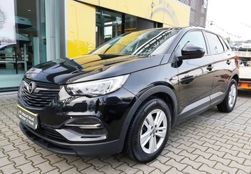 Opel 2021 Opel Grandland X Salon Polska, ASO, PDC, Kamera cofania, G. fotele i kanap