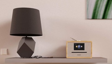 DAB+, FM, интернет-радио Большинство Homerton