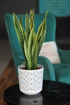 Крышка для цветочного горшка 19,5 см + вставка Дом Сад ЦВЕТОЧНЫЙ ГОРШОК Подоконник Чаша ПОДСТАВКА ДЛЯ ЦВЕТОВ