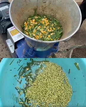 МАШИНА ПОДАЧИ ГРАНУЛЯТОРА ПЕЛЛЕТ ДЛЯ ИЗГОТОВЛЕНИЯ МАТОВ ПЕЛЛЕТ-ГРАНУЛ