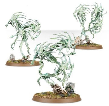 Warhammer Age of Sigmar : Spirit Hosts