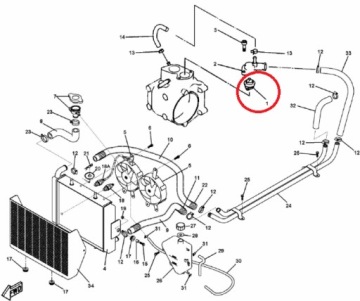 QUAD TERMOSTAT Linhai Jobber UTV 400cc 4x4 OEM!