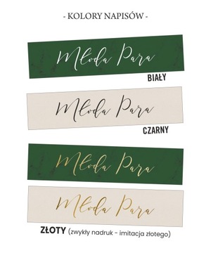 Таблички на свадебное авто Pastel Rainbow COLORS