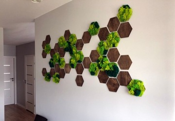 СТЕНОВЫЕ ПАНЕЛИ ШЕСТИГРАННИК МОХ