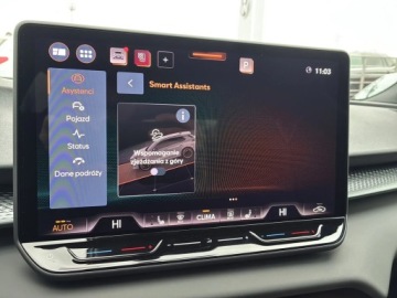 Cupra Terramar SUV 1.5 eTSI 150KM 2026 Cupra Terramar Advantage Edition 1.5 e-TSI 150 KM, zdjęcie 19