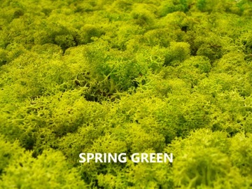 Мох оленьего краба 15 цветов 200г