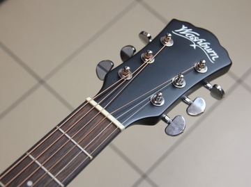 Washburn Deep Forest Ebony FE (фолк) - новинка!
