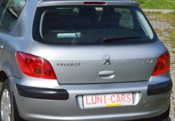 Peugeot 307 I Hatchback 1.6 16V 109KM 2003 PEUGEOT 307 1.6 16V 110 KM, zdjęcie 15