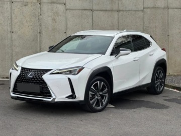 Lexus UX Crossover Facelifting 2.0 300h 199KM 2025 300h Business 2.0 199KM | System martwegopola, zdjęcie 1
