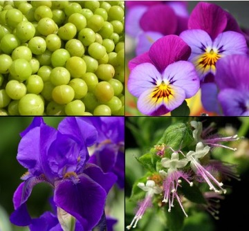 Подарочный набор Tesori Ayurveda: дезодорант, духи в декоративной коробочке.