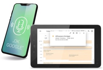 Sterownik F&F Fox WiFi