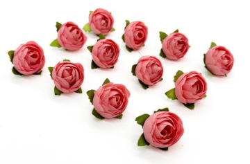 CAMELIA PEŁNIK KAMELKA MINI 3 cm 12sztuk