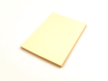 Papier ksero kolorowy A4 Łososiowy 10 kartek
