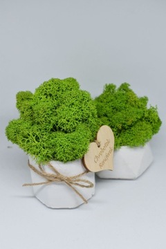 Подарочный набор «Рубильный лес»