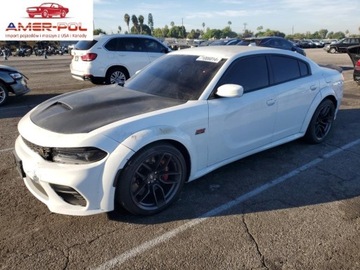 Dodge Charger VII 2021 Dodge Charger Scat Pack 2021 6.4l 6.4 Benzyna 485KM
