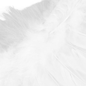 НАБОР АНГЕЛА АНГЕЛ-НИБОЛ + КРЫЛЬЯ ПЕРО