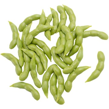 Modele Fasoli Warzywnych Edamame 30 Szt