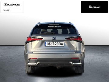 Lexus NX I SUV Facelifting 300h 197KM 2018 Lexus NX 300h Comfort AWD I (2014-2021) NX300h Com, zdjęcie 3
