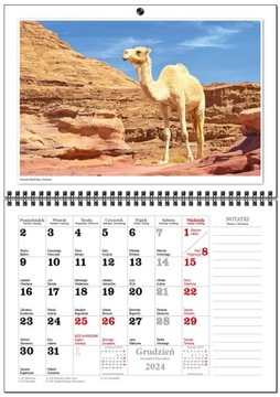 Календарь 2024 НАСТЕННЫЙ УЖИН на SPIRAL 29x41 TRAVEL