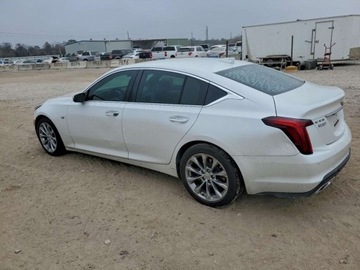 Cadillac 2021 Cadillac CT5 Premium Luxury 2021 2.0 Benzyna 237KM, zdjęcie 1