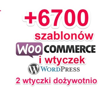 WordPress WooCommerce wtyczki szablony 2 domeny FV
