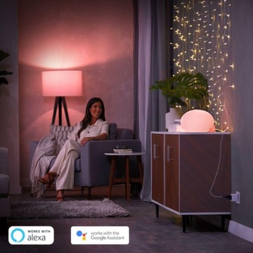 Интеллектуальная розетка Philips HUE Smart Plug 220-240В IP20 белая (CZ/SK)
