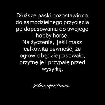 Мексиканская черная уздечка на меху для лошадей-любителей, размер А4.