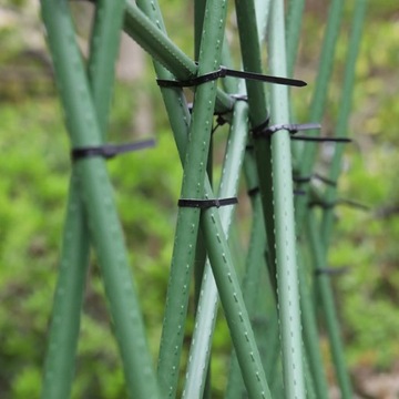 Tyczki do pomidorów 180cm grube Podpory roślin Stalowe Powlekane 10 SZT.