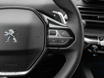 Peugeot 3008 II Crossover 1.6 THP 180KM 2020 Peugeot 3008 WD2381U#1.6 PureTech GT EAT8, zdjęcie 13