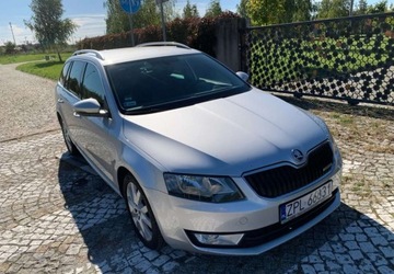 Skoda Octavia III Kombi 1.6 TDI CR DPF 110KM 2014 Skoda Octavia Skoda Octavia 1.6 TDI (Green tec) Ambition 1.6 Diesel 110KM, zdjęcie 4
